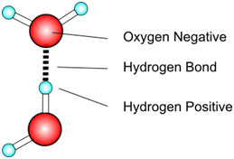 Hydrogen-bond-formation