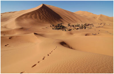 Sahara-Desert
