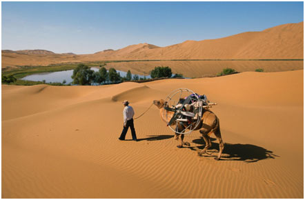 Gobi-Desert