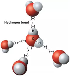Hydrogen-bonding