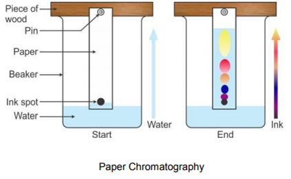 Paper-Chromatography