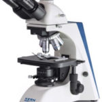 Light Microscope: History, Construction, & Types of Light Microscope