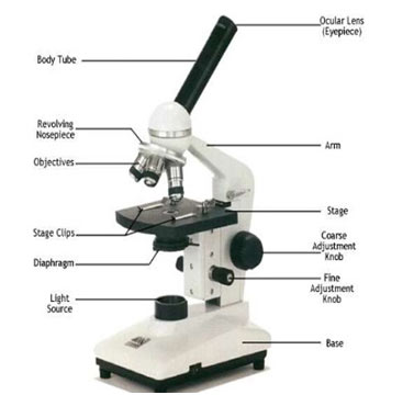 Construction-Light-Microscope